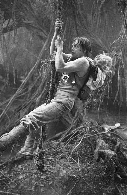 jady2007: crvmommy86: Tank top Luke Skywalker @harrisonfangirl @tato0ine-luke @roane72 @supermacaron