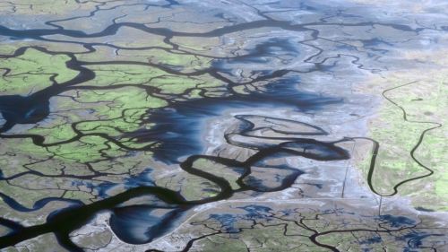 Porn trefoiled:  Ganges River Delta. Jon Bowles. photos