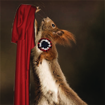  Les Mis AU → Everyone is a squirrel      