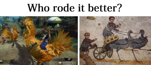 ancient-rome-au:au with chocobo-drawn chariot races so the hippodrome is called the chocobodrome ins