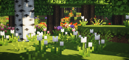Featured image of post Minecraft Flower Forest Wallpaper I played almost since the beginning and this seed is the prettiest i ve seen the flower forest is large but with lots of mountains and close