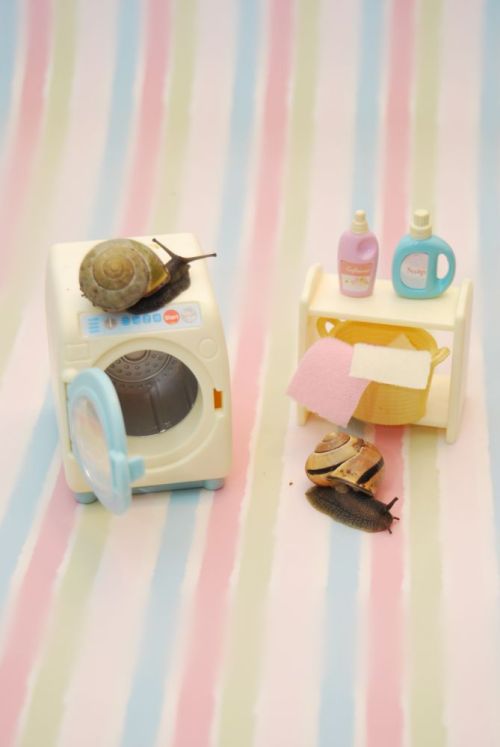oliverthesnail:  Chores go much quicker when you have someone to help you.