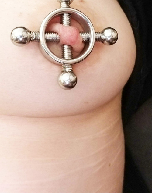 ownedby1: tits2torture:  lisageilen2:  daddysirtoyou:  Squid got her new nipple clamps today! Holy h