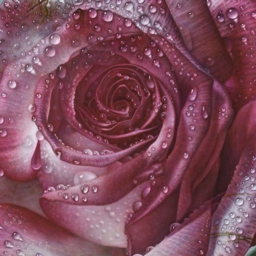 nevver:In lieu of flowers, Gioacchino Passini