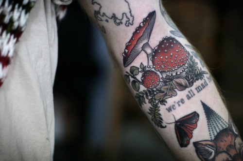 Fly agaric mushrooms with little forest floor bits on Robert. Thanks as always!