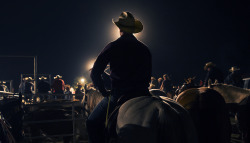 williamstaudt:  This is a shot of a cowboy