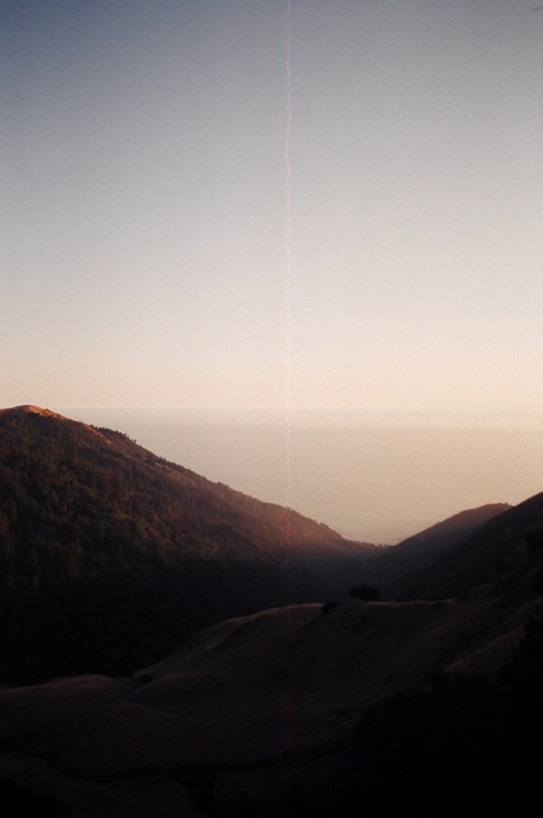 kelseyahayden:big sur 35mm filminstagram