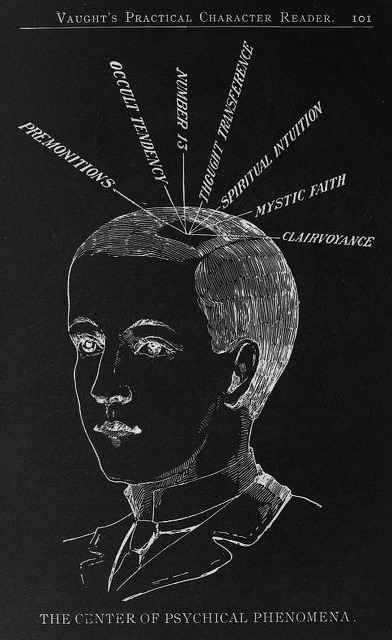 Porn Pics chaosophia218:  L.A. Vaught - Phrenology