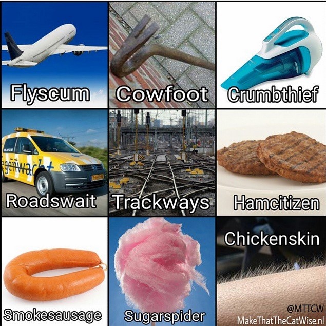 sapphicfaery:  unfollovving:  This is what you get when you translate Dutch words