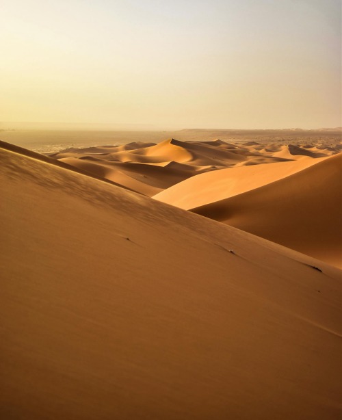 Paul Atreides Future Aesthetic