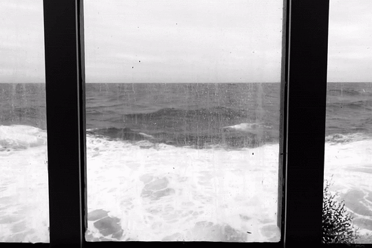 kelseylorene:  Racing Waves. Los Lagos Region, Chile. 