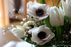 myidealhome:  fresh anemones & tulips: