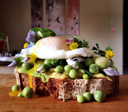 yummyinmytumbly:  Avocado Toast