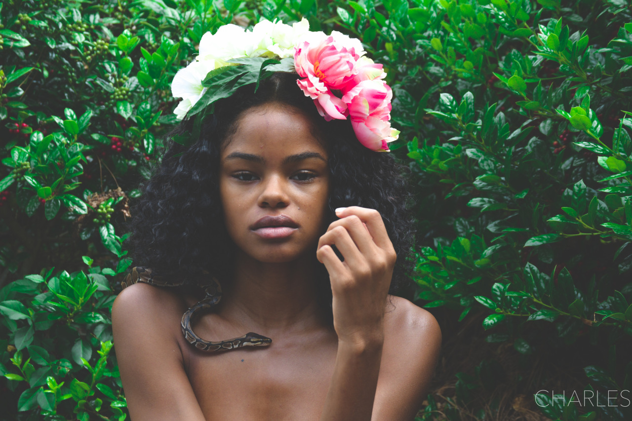 lasergunsandcongodrums:  Garden of Eden Photography by Spencer Charles 