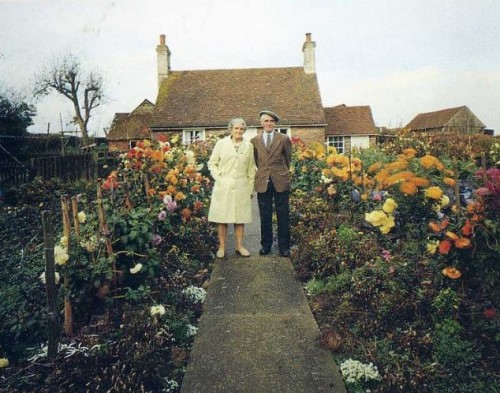 yourinnerwallflower: yellowfangofstarclan: This elderly couple took a photo in their small garden ou