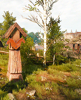 ladyennefers:around white orchard