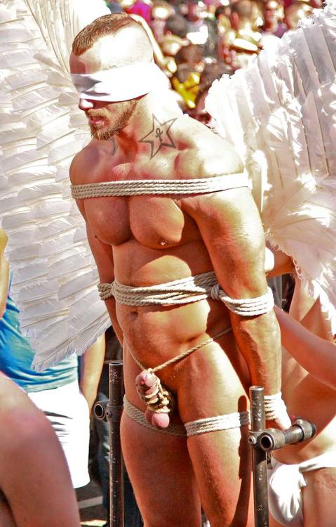 Bound & Gagged Things