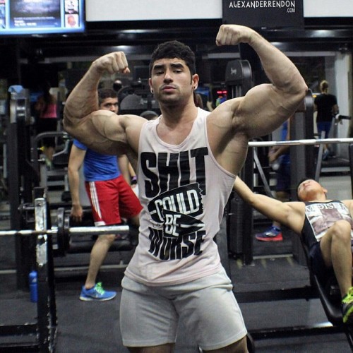 jaqlvmen:  ️⚡️⚡️GO FOLLOW THIS AMAZING MUSCLEMODEL FROM COLOMBIA 🔰🔰🔰🔰 👇👇👇 ✅@Alexander_Rendon ✅@Alexander_Rendon ✅@Alexander_Rendon ✅@Alexander_Rendon ✅@Alexander_Rendon ✅@Alexander_Rendon . ————- For