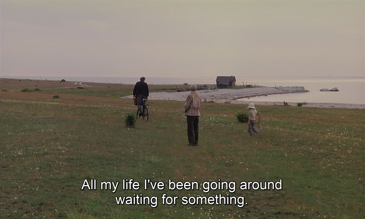 timotaychalamet: The Sacrifice (1986) dir. Andrei Tarkovsky