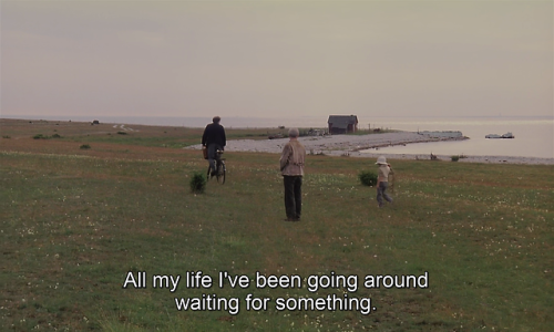 timotaychalamet:The Sacrifice (1986) dir. Andrei Tarkovsky