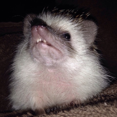 What&rsquo;s that I smell??