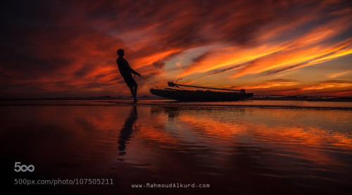 morethanphotography:  Harmony of Nature I by mahmoudalkurd