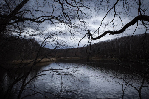 sometimes-leica