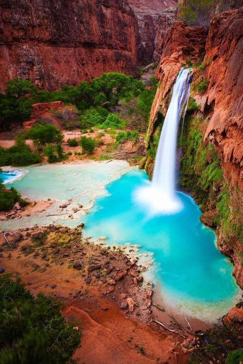 lsleofskye:Havasu Falls, Supai, AZ - Grand Canyon