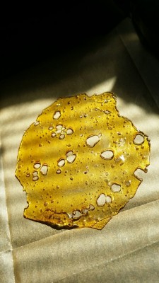 flyblackguy:  Sour D. 