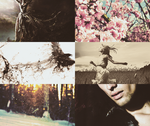 asheathes:  Persephone was gathering flowers one day on a plain in Sicily. Hades