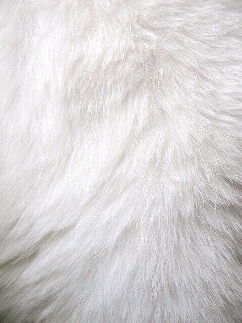 stardust-stims: Speckles from Neko Atsume stimboard! Banner by @devious-aesthetic☁️☁️/☁️/☁️☁️