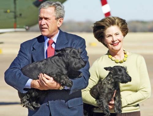 Presidential Pets Through the Years - see all the pictures!