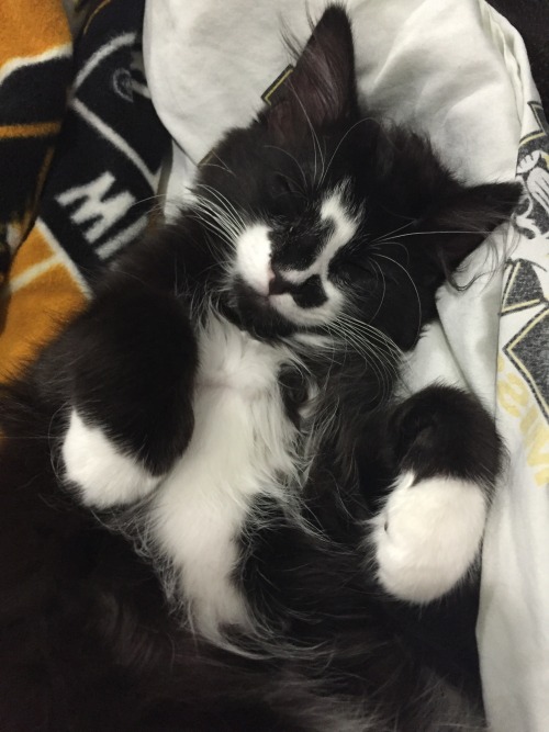 Play hard, sleep hard