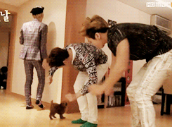 evolusionize:  the two hyungs dorks in SHINee…. 