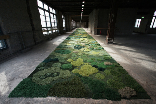 culturenlifestyle:Threading Unique Gardens Of Wool Carpets And Tapestries Which Make Themselves At H