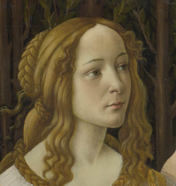 renaissance-art:  Botticelli’s Goddesses