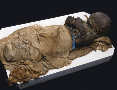 Child MummyMummified child rapped in bandages. The mummy dates to Ptolemaic to Roman Period, 1st cen