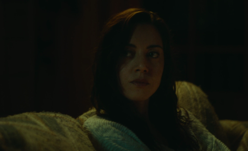 365filmsbyauroranocte:Aubrey Plaza in Black Bear (Lawrence Michael Levine, 2020)