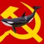 niceorca