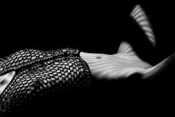 6-4s:  m-as-tu-vu:  &copy; by NickGilles  la cotte de mailles…*