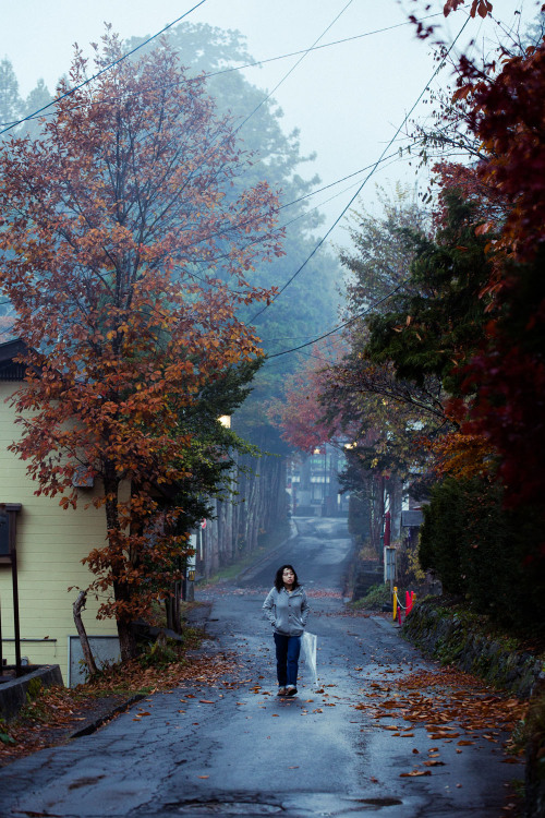 williamhereford:6am in Nagano…  I shot these all within 1 block of each other on the same street whi