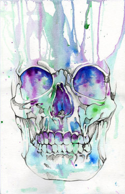 skullspiration:  (via Skull illustration