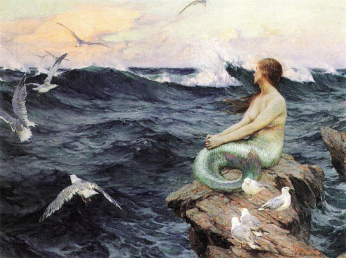 Charles Murray Padday, The mermaid