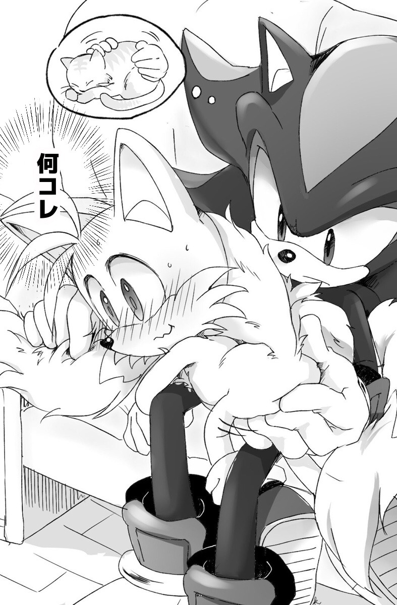 misterkanzaki:misterkanzaki:shadow”Tails“tails”shadow？“shadow“When you are tired, you can relax if you give it something soft”shadow”let me touch“tails“You are too tired！？“tails“He is strange.  It ’s too tired…”tails“If