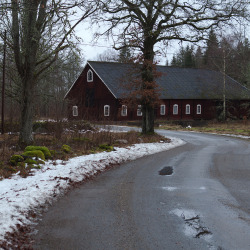 blogut:  Smålandsskog V by  Gustaf Emanuelsson 