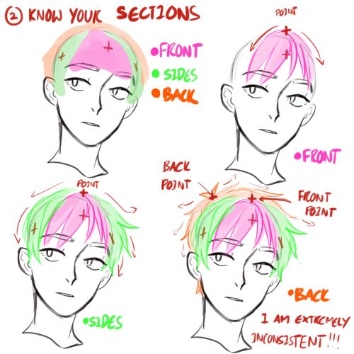 Drawing HairRow 1 - 3Row 4, By Anatomy Next