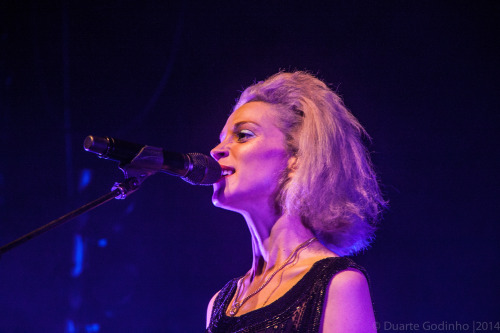 ifuckinglovestvincent:  Lisbon // 29 Nov 2014 Photo: Duarte Godinho 