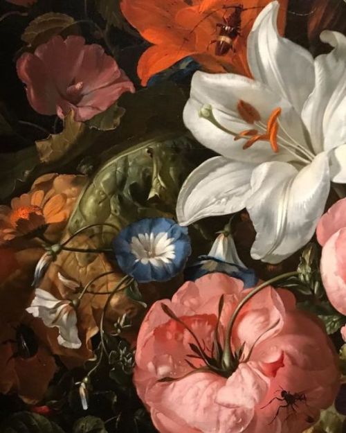 keirabisexual:Flowers in a Glass Vase (detail), 1704. Rachel Ruysch 