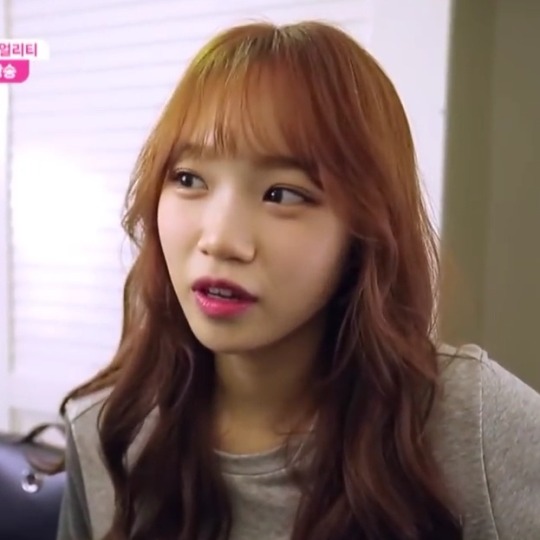 #izone-chu on Tumblr