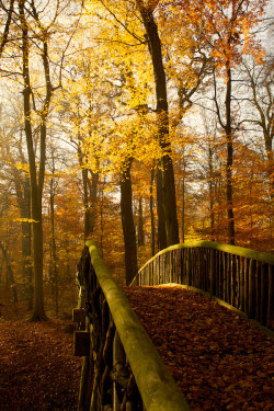 wonderous-world:  Autumn by Jörn Stevens